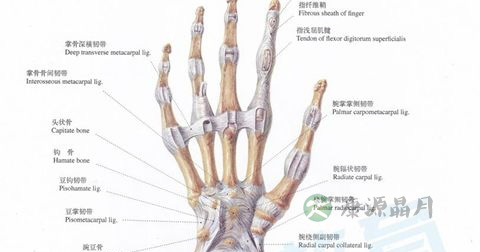 腕管综合征 腕管综合征