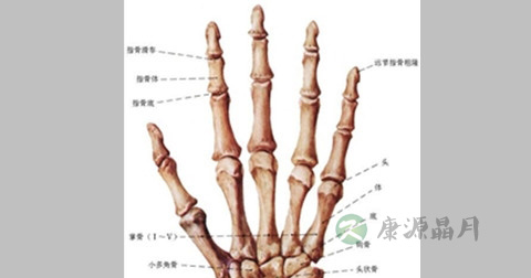 腱鞘炎 腱鞘炎