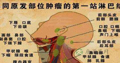 耳后淋巴结肿大 耳后淋巴结肿大