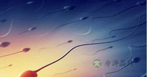精子果糖测定 精子果糖测定