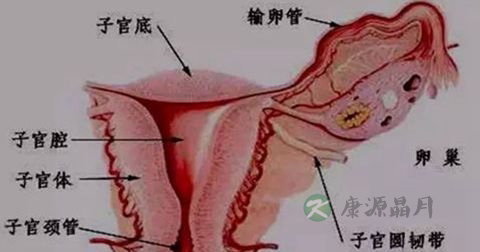 恶露 恶露