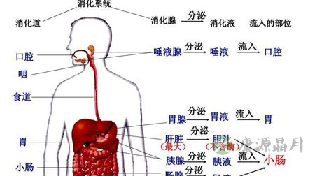 嗳气 嗳气