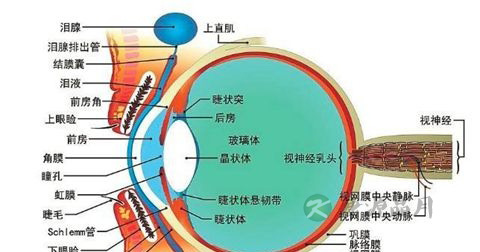 红眼 红眼