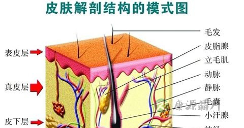 黑头粉刺 黑头粉刺