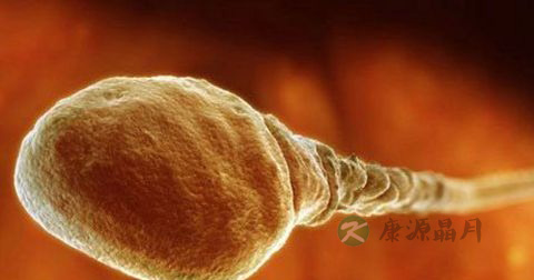 精子不液化 精子不液化