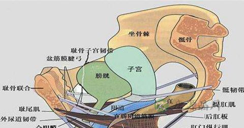 外阴瘙痒 外阴瘙痒