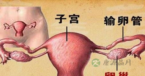 盆腔炎 盆腔炎