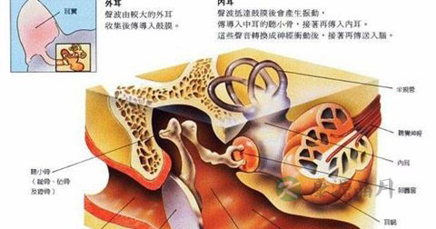 中耳炎 中耳炎