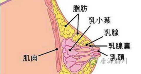 涨奶 涨奶