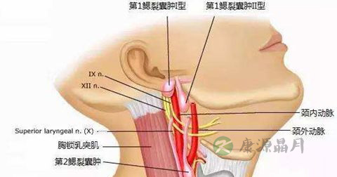 囊肿 囊肿