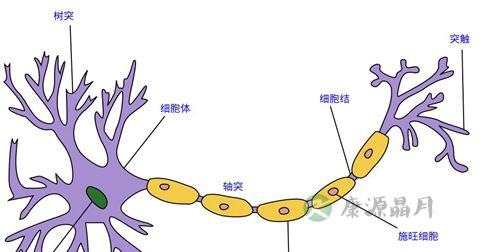 神经衰弱 神经衰弱