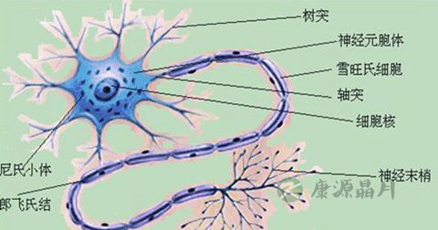神经衰弱 神经衰弱
