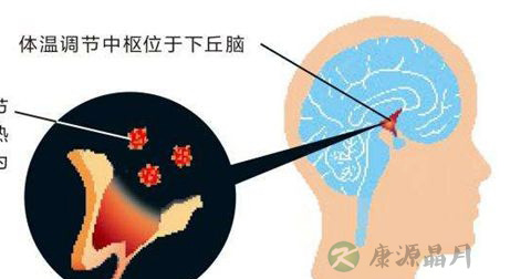 发烧 发烧