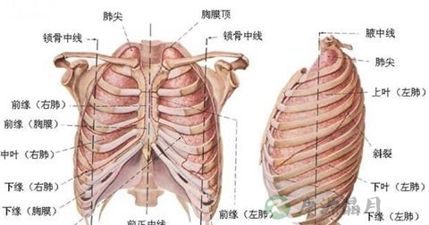 胸闷 胸闷
