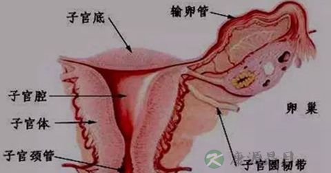 阴道炎 阴道炎