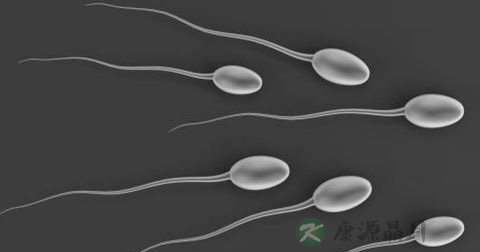 精子果糖测定 精子果糖测定