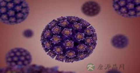 尖锐湿疣 尖锐湿疣