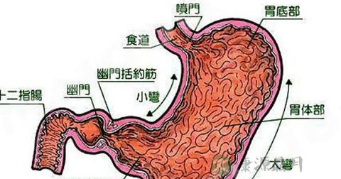 嗳气 嗳气