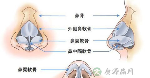 过敏性鼻炎 过敏性鼻炎
