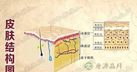 皮下囊肿 皮下囊肿