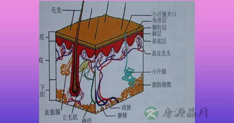 盗汗 盗汗