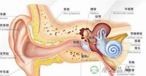 中耳炎 中耳炎
