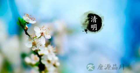 清明节 清明节