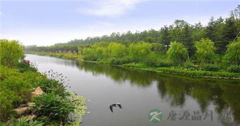 沐浴节 沐浴节