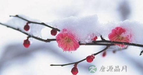 大寒 大寒
