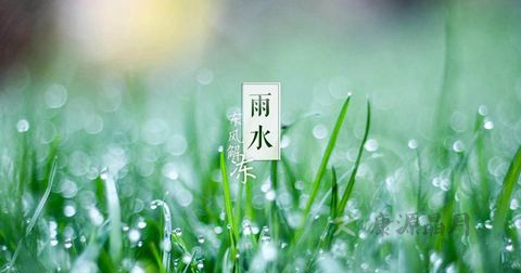 雨水 雨水