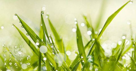 雨水 雨水