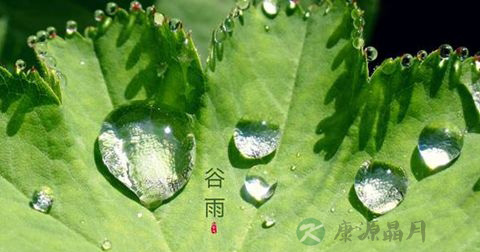 谷雨 谷雨