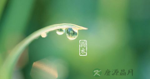 雨水 雨水