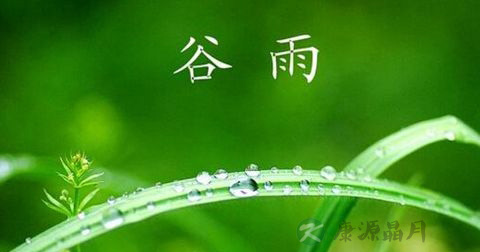 谷雨 谷雨