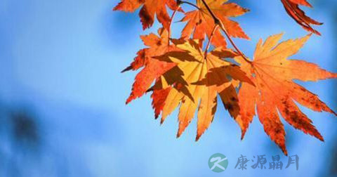 处暑 处暑