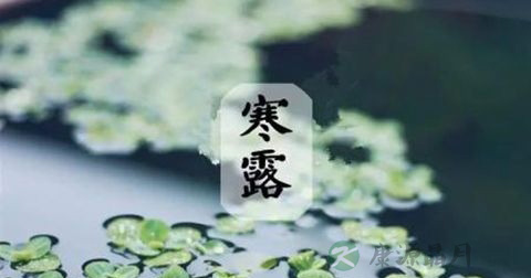 寒露 寒露