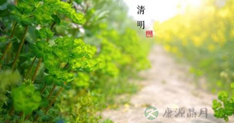清明节 清明节