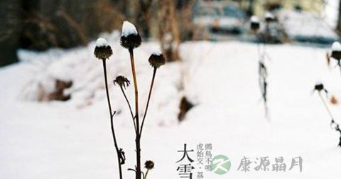 大雪 大雪
