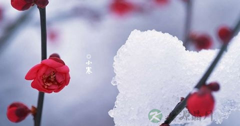 小寒 小寒
