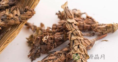 夏枯草 夏枯草