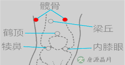 髋骨穴 髋骨穴