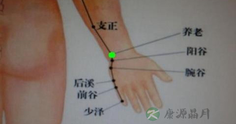 养老穴 养老穴