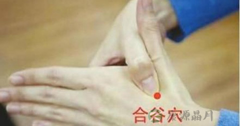 合谷穴 合谷穴