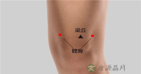 髋骨穴 髋骨穴