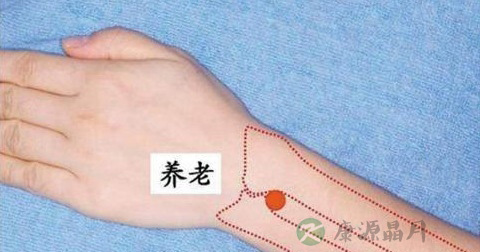 养老穴 养老穴