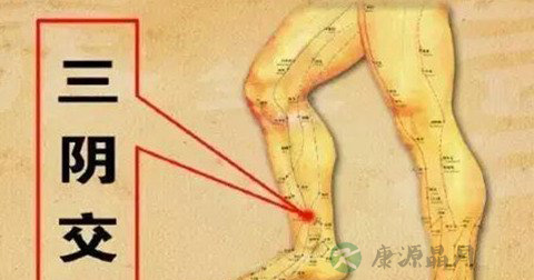 三阴交穴 三阴交穴
