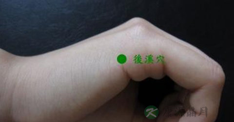后溪穴 后溪穴