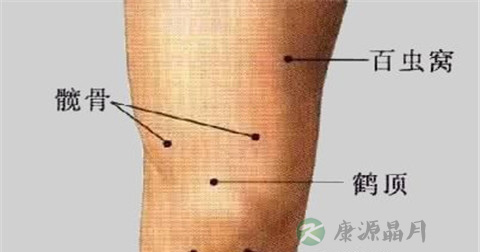 髋骨穴 髋骨穴