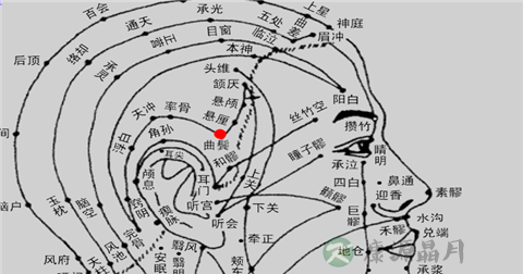 曲鬓穴 曲鬓穴