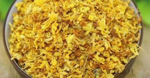 桂花 桂花